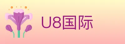 U8国际 logo